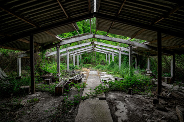 The interior of an abandoned overgrown concrete industrial building with a dilapidated roof.
