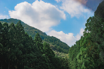 自然に囲まれて