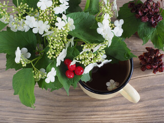 Herbal tea, white flowers, leaves, dried and frozen berries of the guelder shrub on a wooden table, flat layout. Useful plant viburnum opulus for use in food, medicine and homeopathy and cosmetology