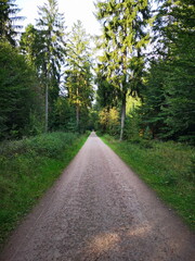 Fototapeta na wymiar Naturschutzgebiet Lüneburger Heide
