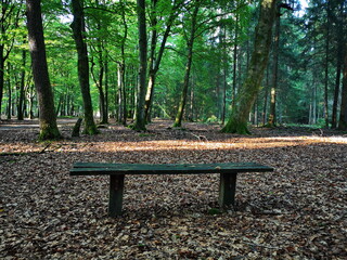 Naturschutzgebiet L&uuml;neburger Heide
