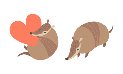 Cute Armadillo Character with Armor Shell Holding Red Heart and Standing Vector Set
