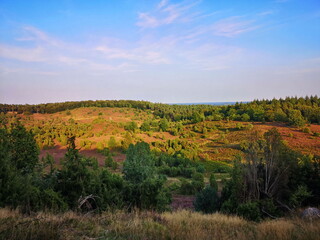 Naturschutzgebiet Lüneburger Heide