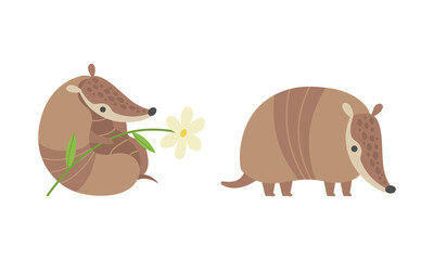 Cute Armadillo Character with Armor Shell Holding Flower and Standing Vector Set