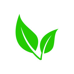 Obraz premium Green leaf vector icon. botany illustration sign . ecology symbol. eco sign.