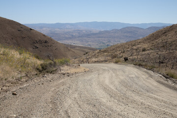 Sandy road in the wilderness in the morning