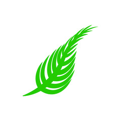 Green leaf vector icon. botany illustration sign . ecology symbol. eco sign.