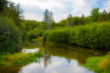 Fototapeta na wymiar Beautiful and wild lake in the province of Quebec, Canada