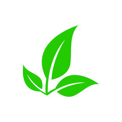 Green leaf vector icon. botany illustration sign . ecology symbol. eco sign.