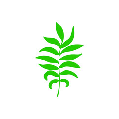 Fototapeta na wymiar Green leaf vector icon. botany illustration sign . ecology symbol. eco sign.