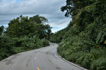 rainy season country road with trees beside concept.