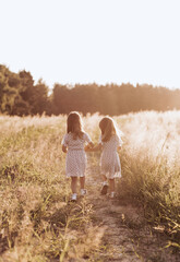 Two little happy identical twin girls playing together in nature in summer. Girls friendship and youth concept. Active children's lifestyle. - obrazy, fototapety, plakaty