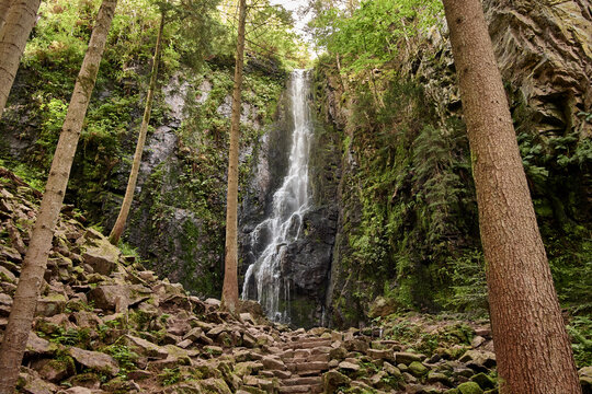 Burgbach waterfall at green moss covered rock wall in the forest near Bad Rippoldsau Schapbach, Black Forest, Germany.