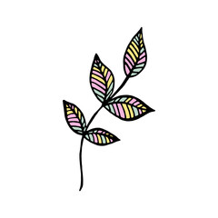 Vector illustration color leaves isolated on white background. Hand drawn. Flat design.  