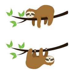 vector set of cute sloth cartoon on a tree © FreeSoulProduction