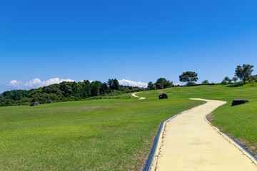 Obraz premium 広大な芝生広場