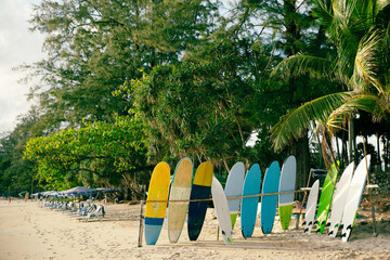 surfboard on the beach