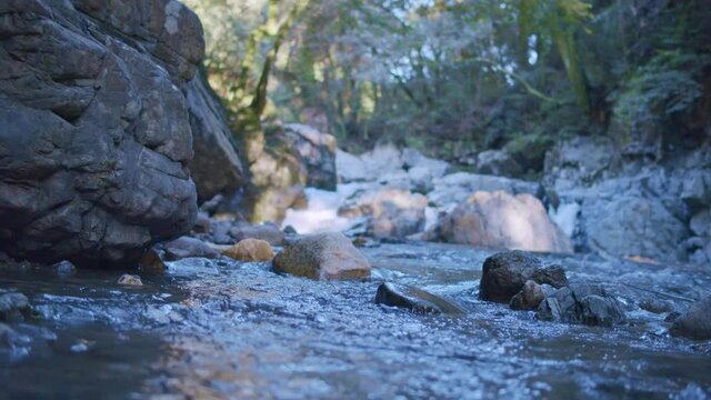 山奥の渓流の岩場。木漏れ日の射す森林と白い水しぶきを上げて流れる川の水。