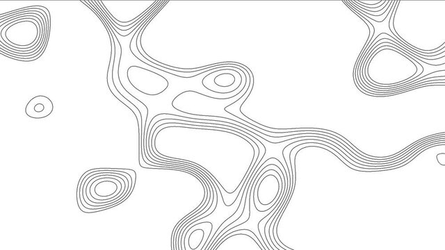 Topographic Line loop Background. Contour line texture.