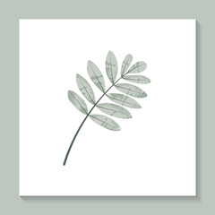 Stylized autumn green leaf in minimalism style with abstract fill. Printable for wall posters, cards, covers