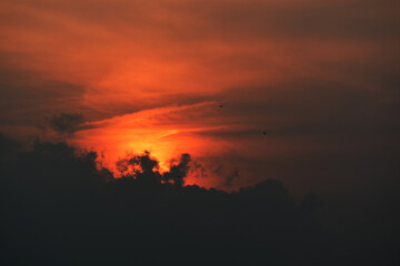 Fototapeta premium sunset in the sky