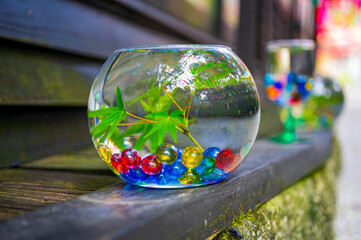 夏の風物詩 涼感あふれる硝子の器