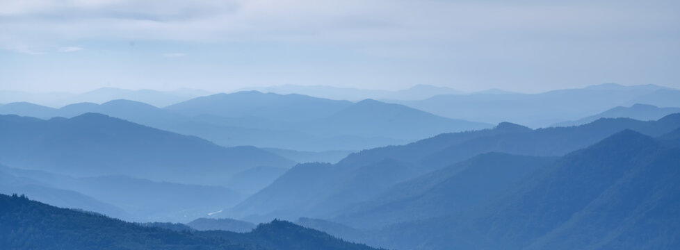 Beautiful blue mountain landscape with fog and forest.