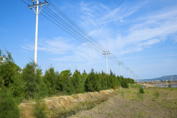 The green plants on the saline alkali land and the water reflect the scenery