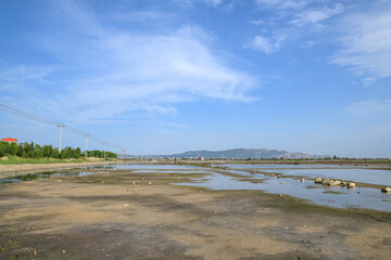 The green plants on the saline alkali land and the water reflect the scenery