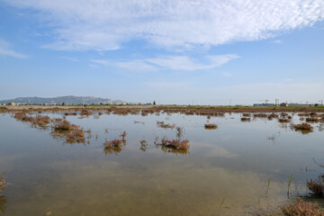 A road piled up on saline alkali land, a salt pond