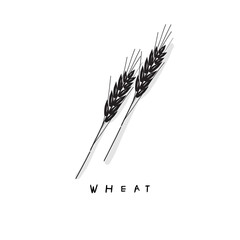 Hand drawing illustration of wheat in simple icon sticker. 