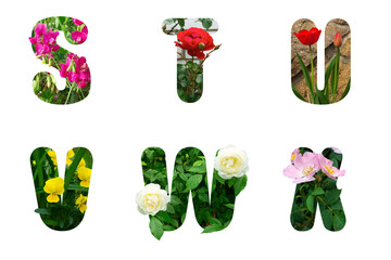 The letters of the English alphabet made of flowers