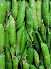 fresh peas