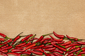 Red chili pepper on sackcloth with copy space
