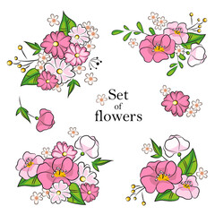  Set of beautiful pink wildflowers.  Wedding concept with flowers. Floral poster, invite. Vector designs for greeting cards or invitations  - 457168520