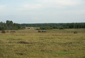 field with haystacks in summer at sunset