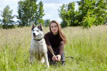 Naklejka na ściany i meble Owner girl playing with her siberian husky at field. Happy smiling woman with dog have a good time on weekend activity outdoors