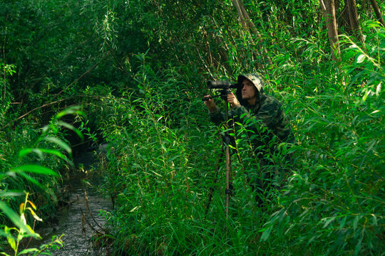 man wildlife explorer makes field observation with a spotting scope among the thickets in a river valley
