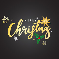Merry Christmas calligraphy handwritten on background with Element in Christmas holiday , Flat Modern design , illustration Vector EPS 10