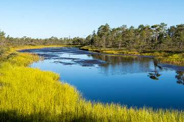 malerischer blauer See mit leuchtendem Ufer