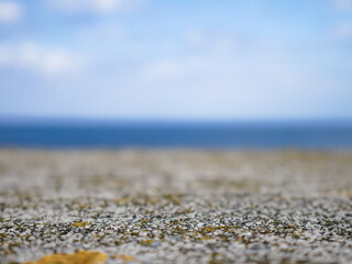Detail macro view of the stone of a port wall with some vegetation and the sea in the background