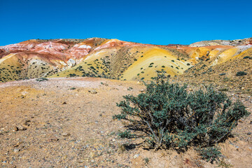 Mountain landscape. Surroundings of the village of Chagan-Uzun, Kosh-Agachsky district of the Altai Republic, Russia