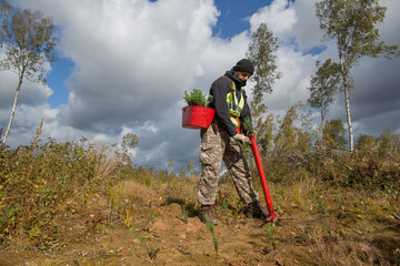 A forest worker is planting trees at the site of a cut forest. The concept of reforestation after...