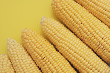 macro photography of corn on a yellow background