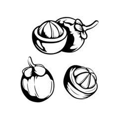 Mangosteen Logo design silhouette illustration vector
