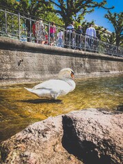 Zurich - Switzerland