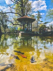 Zurich - Switzerland