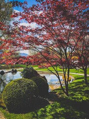 Zurich - Switzerland