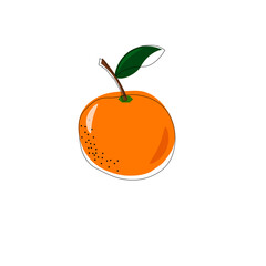 Fruit illustration with abstract orange. Isolated vector drawing. For use in packaging, fabrics and prints, covers and brochures, markets and stores, price tags.