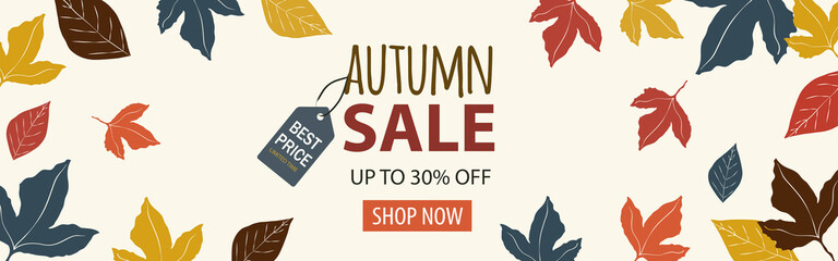 Horizontal banner for autumn season sales. Special offer leaflet with fall maple leaves, label and text up to 30% off. Texts with Limited time, Best price and Shop now button. White beige background.